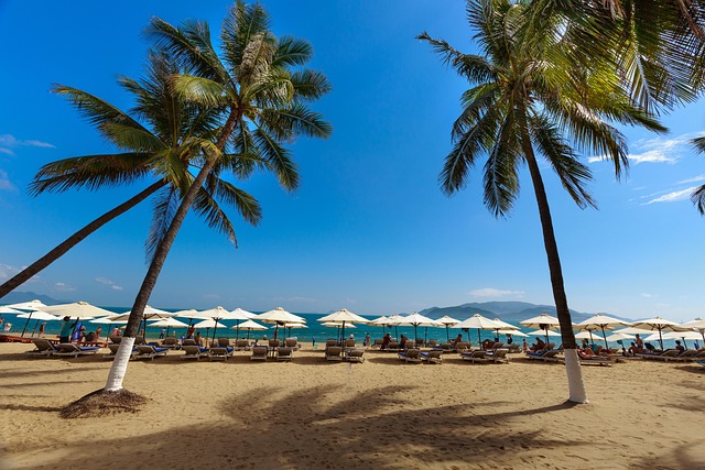 5D4N Nha Trang & Mui Ne Getaway: Coastal Thrills & Sand Dune Adventures